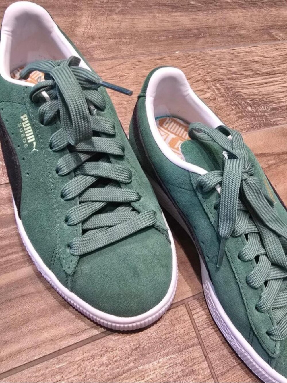 Pumas